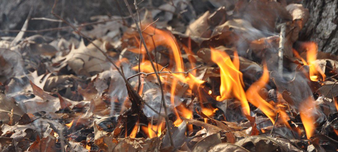 Controlled burn 2